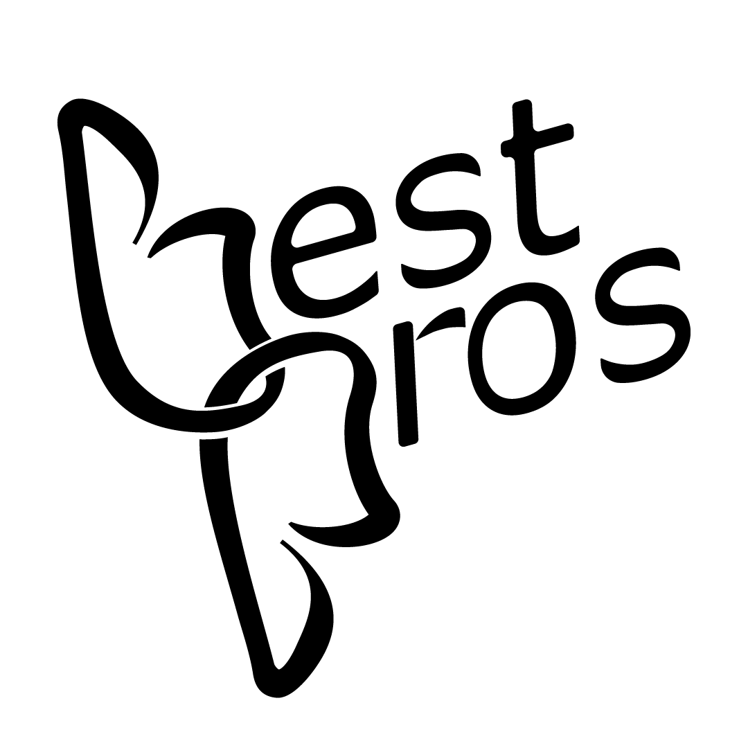 BestProsInTown logo